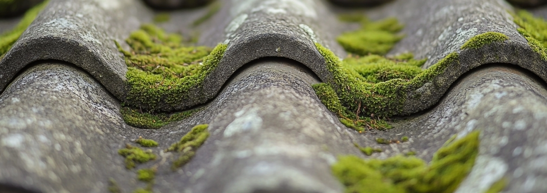 les-differentes-techniques-de-demoussage-selon-les-materiaux-de-toiture